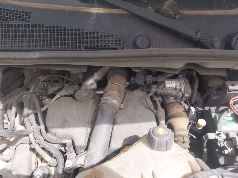 renault kangoo express (fw0/1_) del año 2018