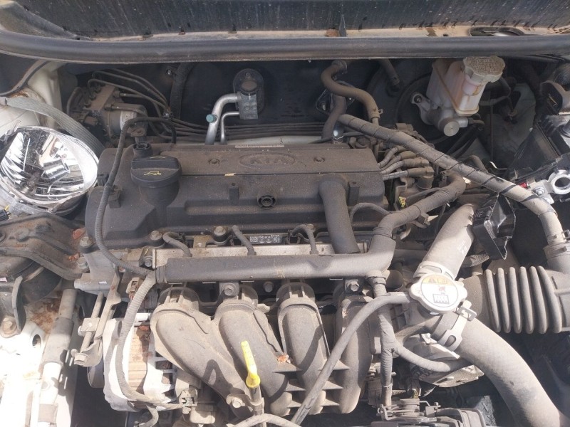 kia rio iii (ub) del año 2016