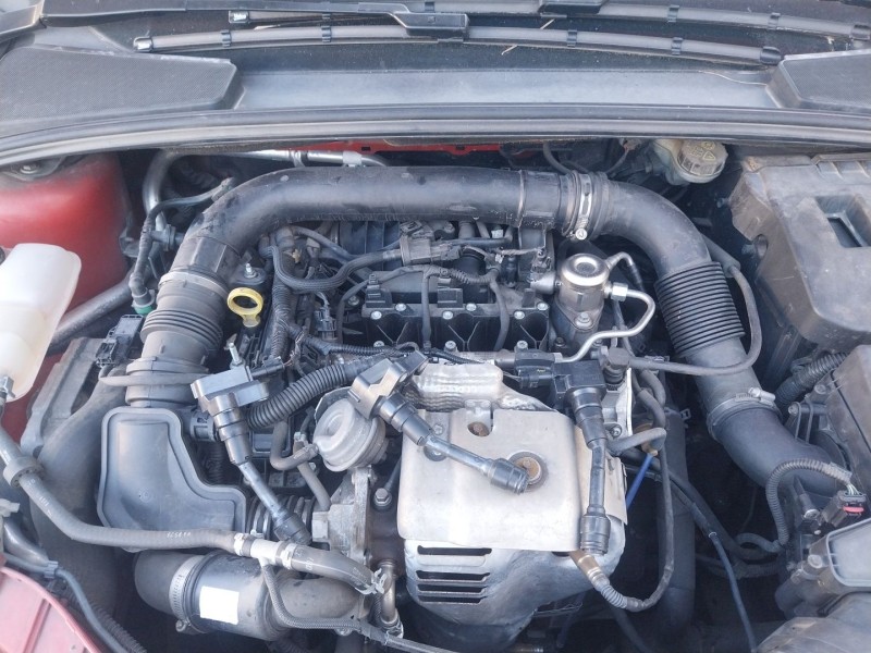 ford focus iii del año 2013