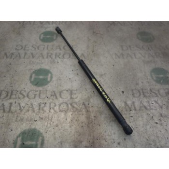 AMORTIGUADORES MALETERO / PORTON 