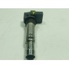 Recambio de bobina para seat ibiza (6l1) fresh referencia OEM IAM  0040102030 