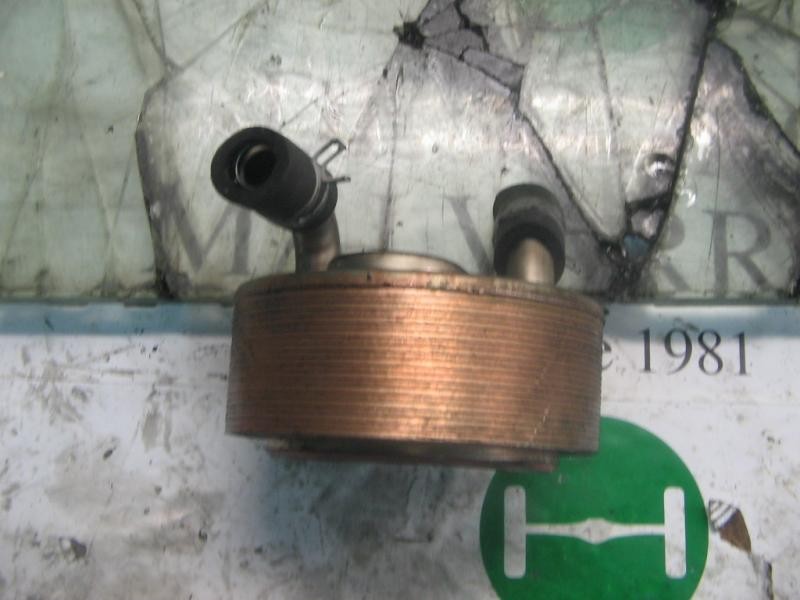 Recambio de enfriador aceite motor para nissan primera berlina (p11) gx referencia OEM IAM   