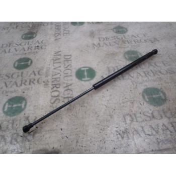 AMORTIGUADORES MALETERO / PORTON 