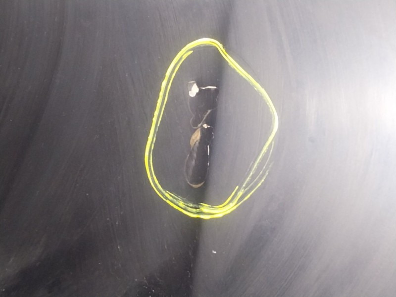 Recambio de capot delantero para bmw x3 (e83) 2.0 d referencia OEM IAM   