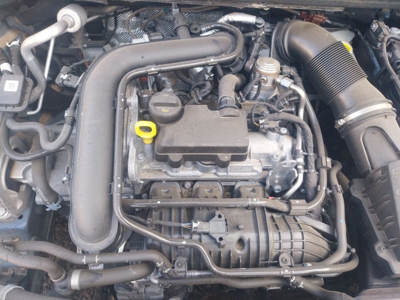 seat ibiza v (kj1, kjg) del año 2022