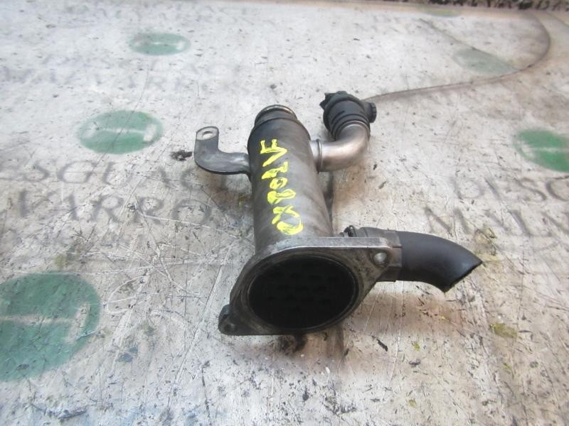 Recambio de enfriador egr para citroën c4 coupe vtr plus referencia OEM IAM   