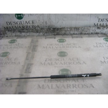 AMORTIGUADORES MALETERO / PORTON 46420780 