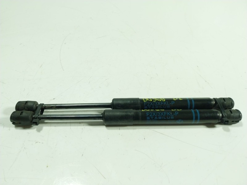 Recambio de amortiguador capot para bmw 1 (f20) 116 d referencia OEM IAM  723923306 