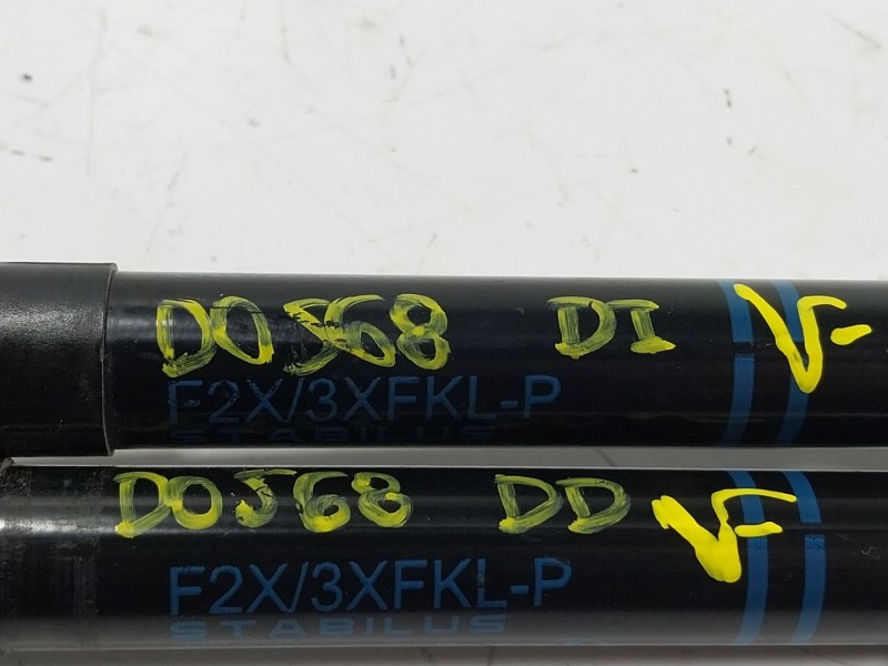 Recambio de amortiguador capot para bmw 1 (f20) 116 d referencia OEM IAM  723923306 