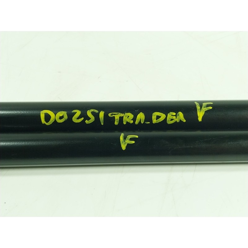 Recambio de amortiguadores maletero / porton para bmw 1 (f40) 118 d referencia OEM IAM  745604202 