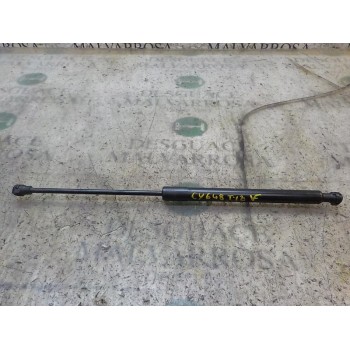 AMORTIGUADORES MALETERO / PORTON 904529943R 