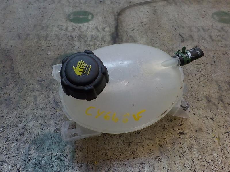 Recambio de deposito expansion para dacia sandero 0.9 tce cat referencia OEM IAM 217104354R  