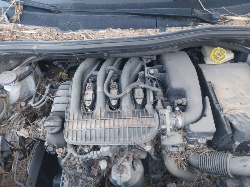 peugeot 2008 i (cu_) del año 2019