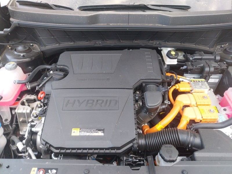 kia niro ii (sg2) del año 2024