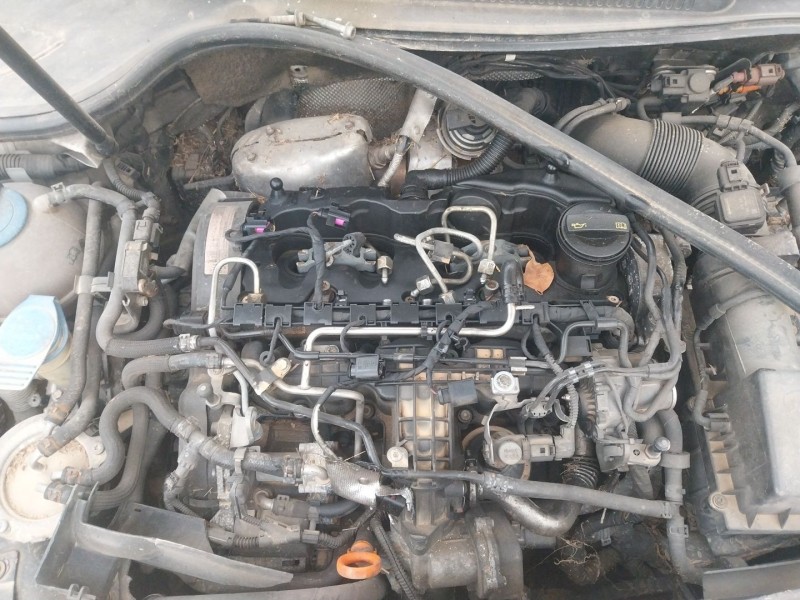 volkswagen golf vi (5k1) del año 2009