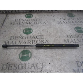 AMORTIGUADORES MALETERO / PORTON 8180162811 