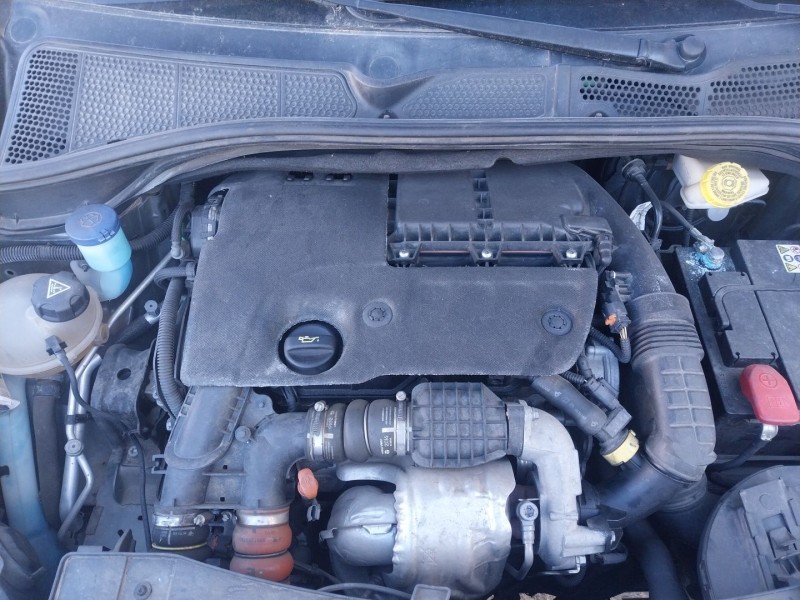 citroën c4 cactus del año 2016