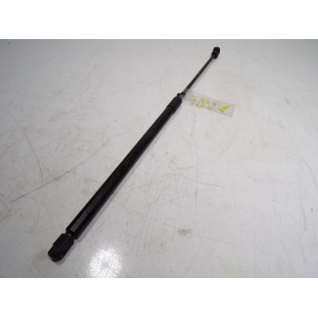 AMORTIGUADOR CAPOT 2018961 DS73F16C827AD 