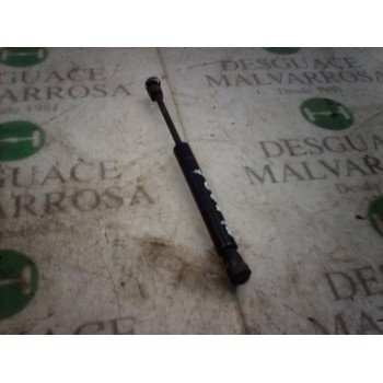 AMORTIGUADORES MALETERO / PORTON 