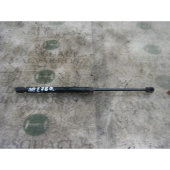 AMORTIGUADORES MALETERO / PORTON 