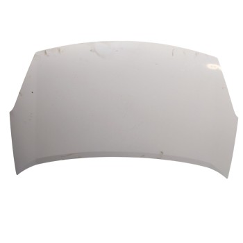 CAPOT DELANTERO 7901P7 