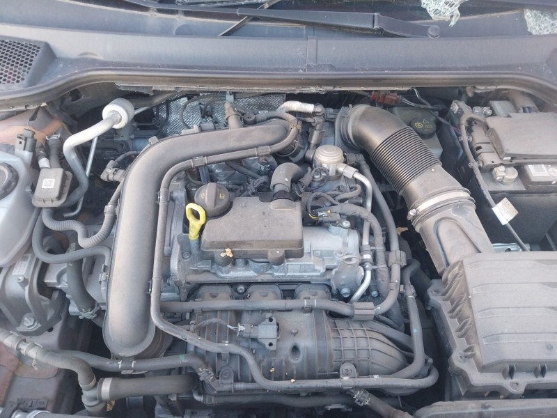 seat arona (kj7, kjp) del año 2021