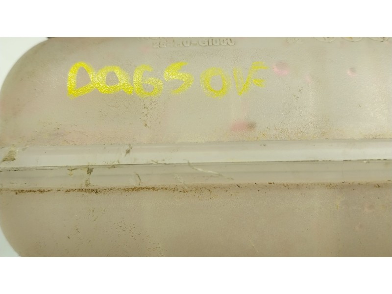 Recambio de deposito expansion para hyundai ioniq 5 (ne) ev referencia OEM IAM  254R0G1000 