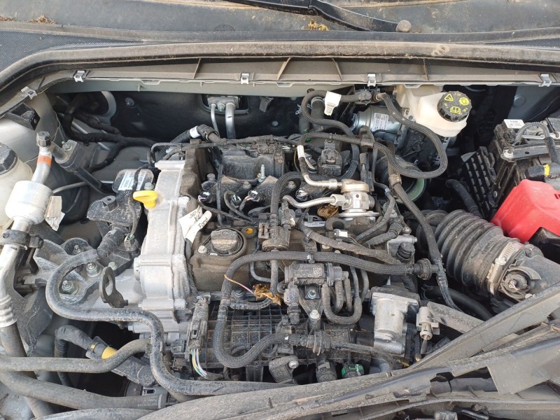 ford focus iv (hn) del año 2024