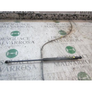 AMORTIGUADORES MALETERO / PORTON 51778432 