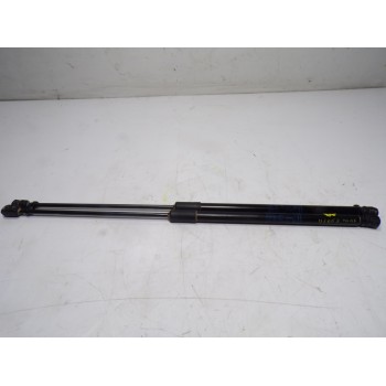 AMORTIGUADORES MALETERO / PORTON 13428038 39089133 