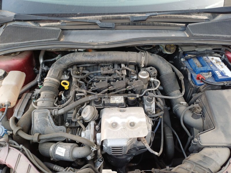 ford focus iv (hn) del año 2017