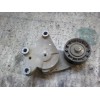 Recambio de tensor correa auxiliar para peugeot 207 1.4 hdi referencia OEM IAM   
