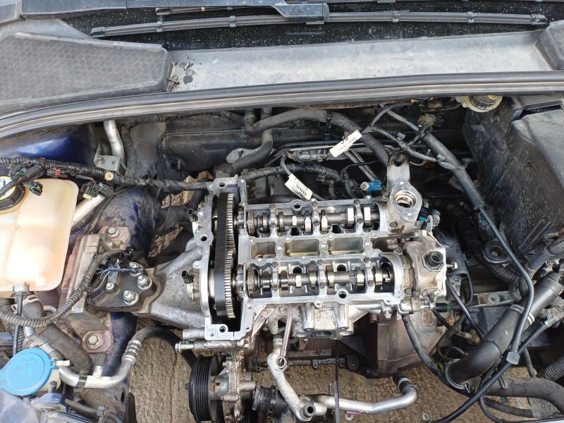 ford focus iv (hn) del año 2014