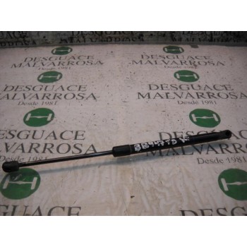 AMORTIGUADORES MALETERO / PORTON 