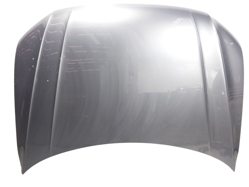 Recambio de capot delantero para volkswagen tiguan (ad1, ax1) 2.0 tdi 4motion referencia OEM IAM   