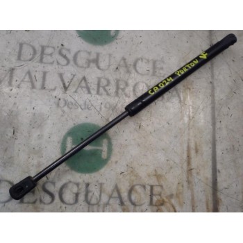 AMORTIGUADORES MALETERO / PORTON 