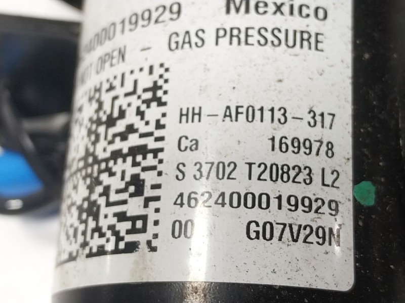 Recambio de amortiguador delantero izquierdo para bmw x7 (g07) xdrive 40 d mild-hybrid referencia OEM IAM  3702T20823 