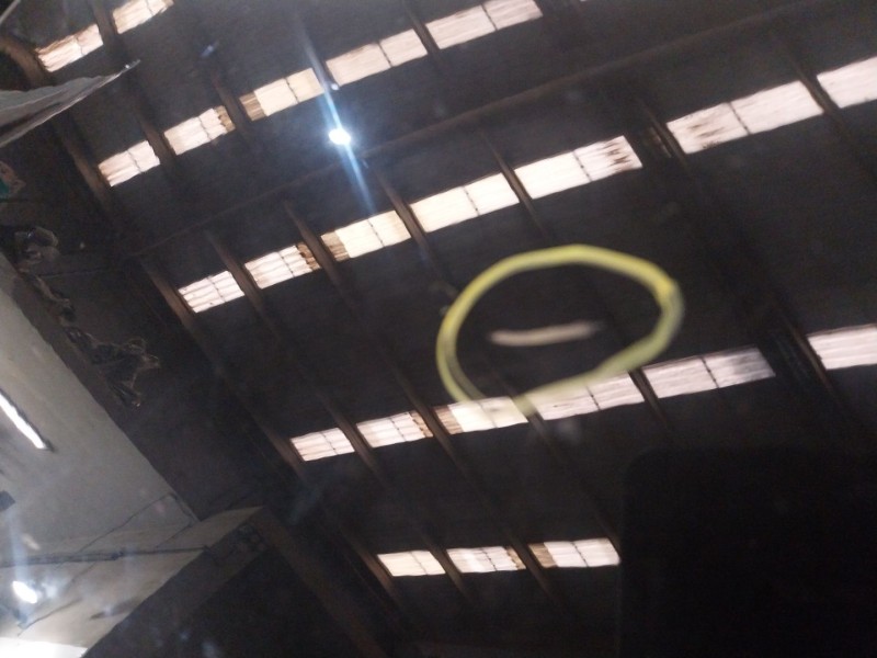 Recambio de puerta trasera izquierda para bmw x7 (g07) xdrive 40 d mild-hybrid referencia OEM IAM 41527931201  