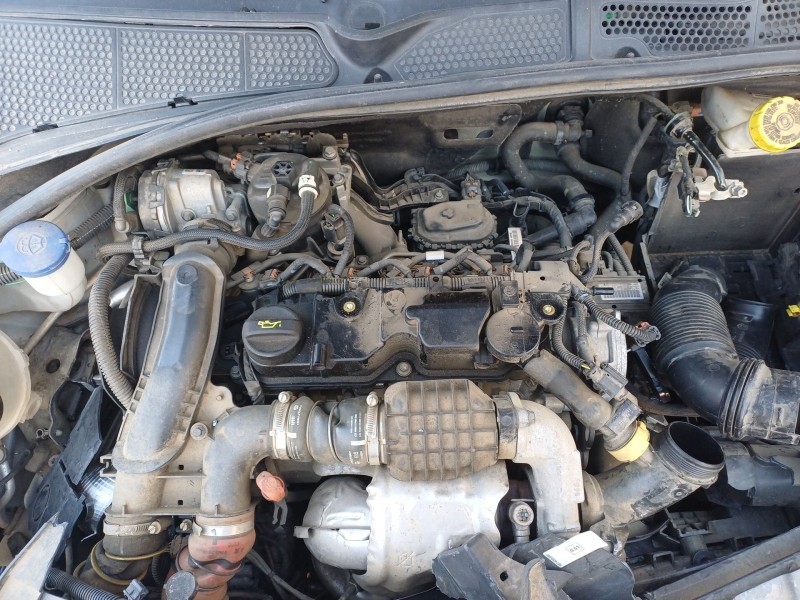 citroën c4 cactus del año 2018