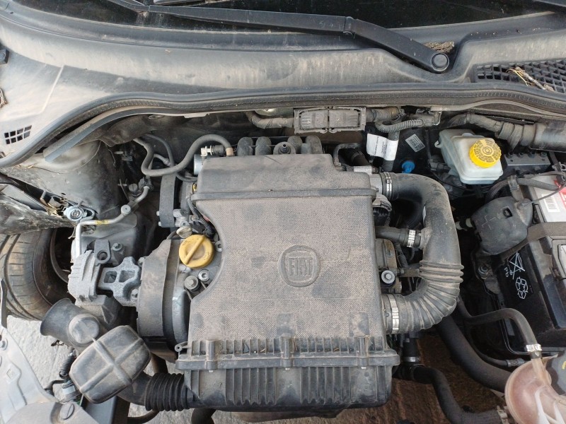 fiat tipo hatchback (356_, 357_) del año 2017