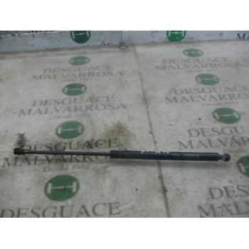 AMORTIGUADORES MALETERO / PORTON 