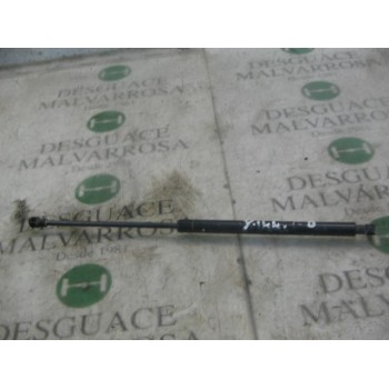 AMORTIGUADORES MALETERO / PORTON 