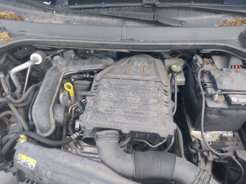 seat ibiza v (kj1, kjg) del año 2019