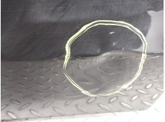 Recambio de puerta trasera derecha para audi a5 sportback (8ta) 2.0 tdi referencia OEM IAM    2