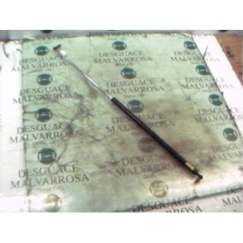 AMORTIGUADORES MALETERO / PORTON 