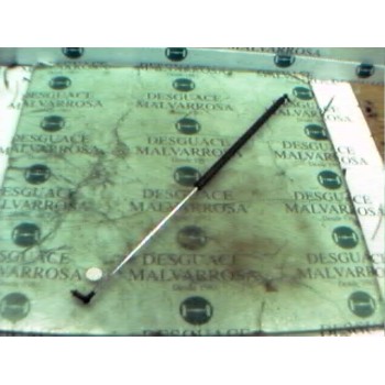 AMORTIGUADORES MALETERO / PORTON 