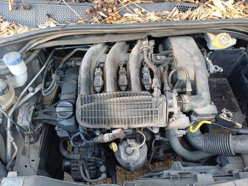 citroën c4 cactus del año 2015