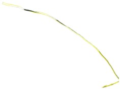 Recambio de puerta trasera derecha para porsche cayenne (typ 9pa) 4.5 v8 cat referencia OEM IAM    2