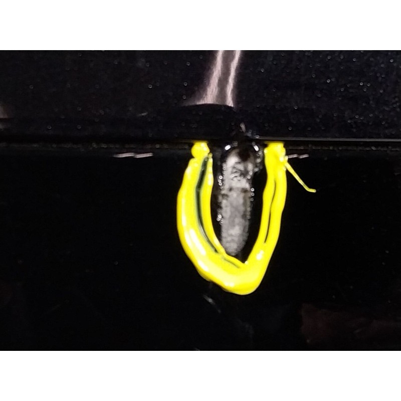 Recambio de paragolpes trasero para porsche cayenne coupe (9yb) 3.0 e-hybrid awd referencia OEM IAM   