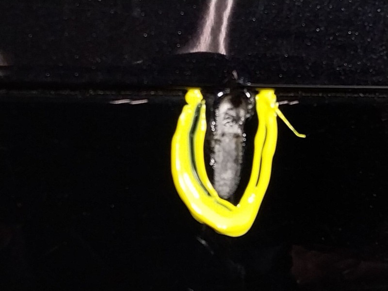 Recambio de paragolpes trasero para porsche cayenne coupe (9yb) 3.0 e-hybrid awd referencia OEM IAM   